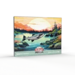 Smoked wild pink salmon in a gift box